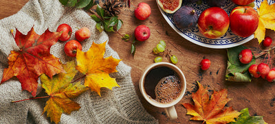 Cozy, Bariatric-Friendly Fall Recipes You’ll Love