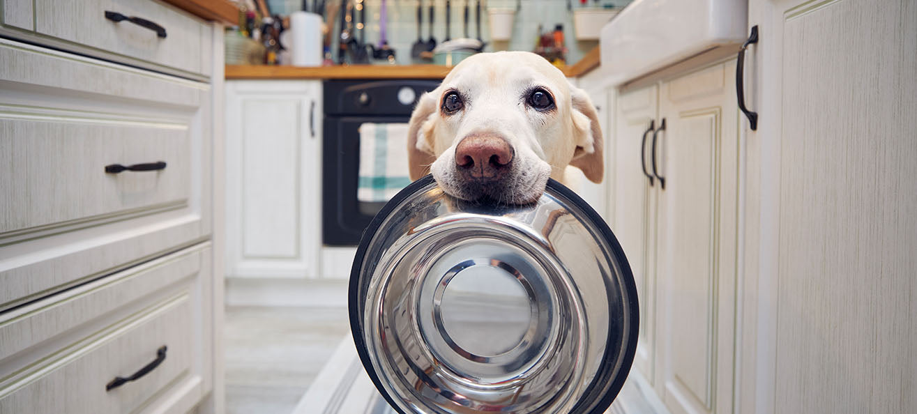 Understanding Emotional vs. Physical Hunger