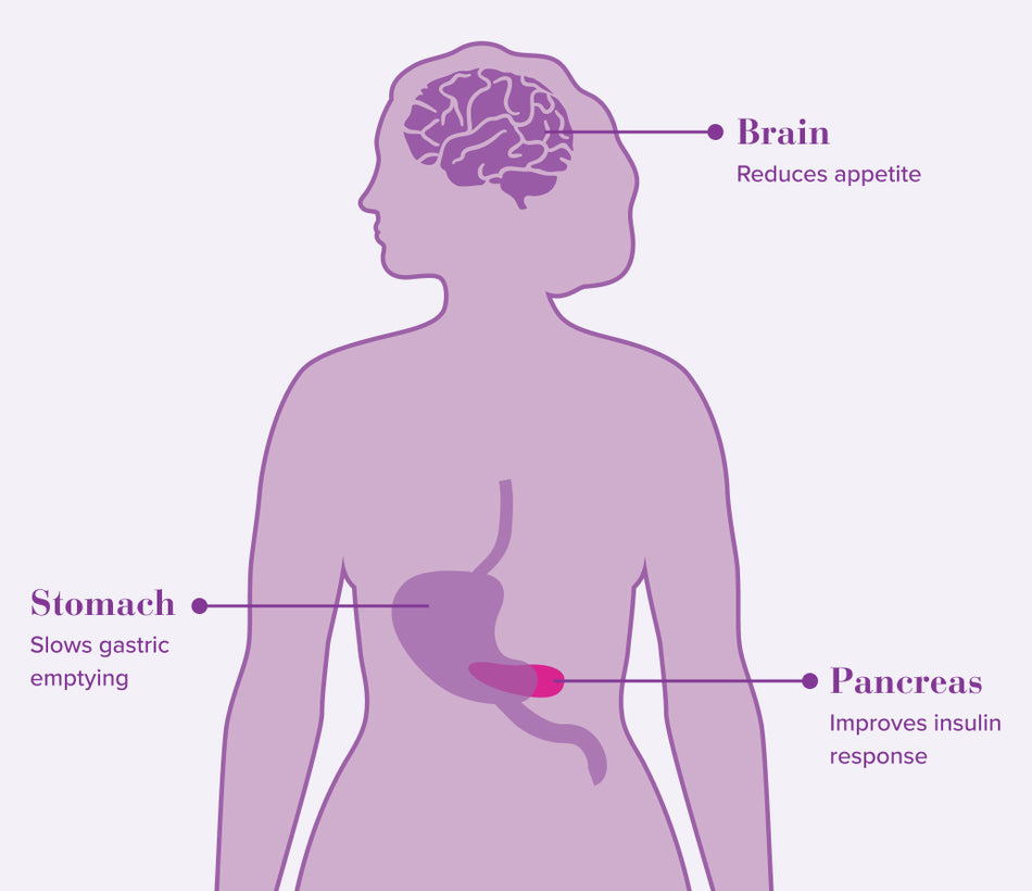 glp 1 epilepsy New study published in Neurology Journal: Could GLP-1 drugs affect risk of epilepsy for people with diabetes? https://hubs.la/Q03XN3C_0 glp 1 epilepsy New study published in Neurology Journal: Could GLP-1 drugs affect risk of epilepsy for people with diabetes? https://hubs.la/Q03XN3C_0